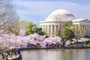 Amerika-Washington-Jefferson-Memorial_2_501281