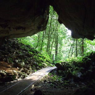 Maleisie-Borneo-Sarawak-Mulu-caves(8)