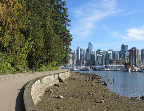 Canada-Vancouver-Stanley-Park-1_1_505582