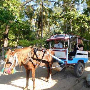 Indonesie-Lombok-GiliMeno-paardenwagen_3_287489