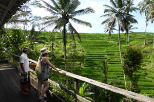 Ubud: Op stap met een Balinees