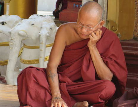 Myanmar-Yangon-monnik bij Shwedagon(8)