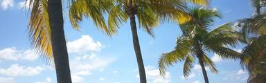 Tropisch Florida: Key West!