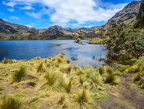Hike in Cajas National Park