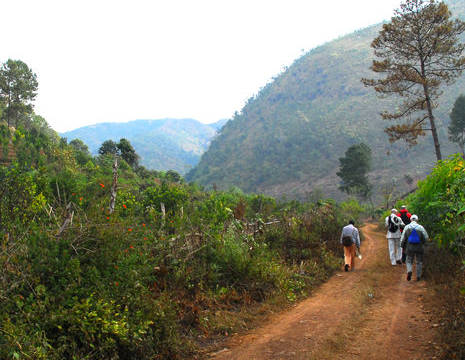 Myanmar-Kalaw-trek1(8)