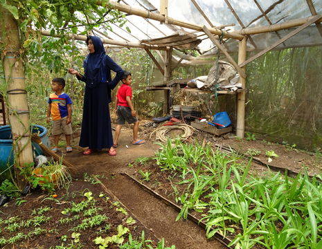 indonesie-java-kaliandra-greenhouse
