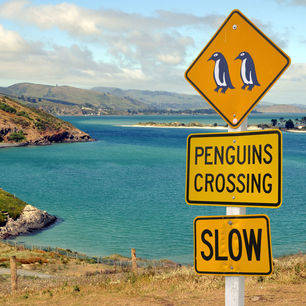 Nieuw-Zeeland-Otago-Peninsula-5