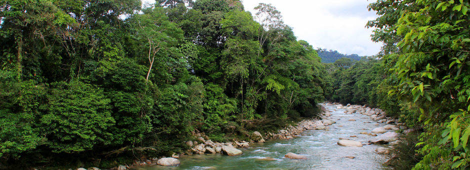 Ecuador-Tena-Napo-rivier