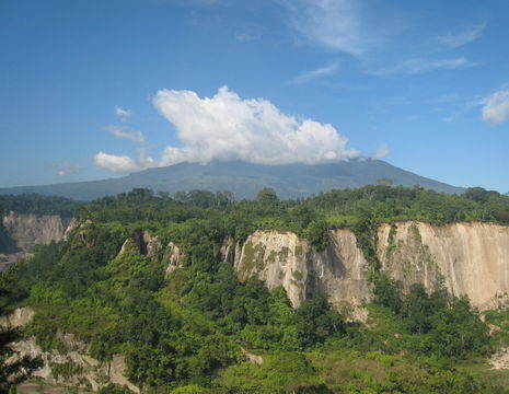 Indonesie-Sumatra-bukittinggi-kloof2