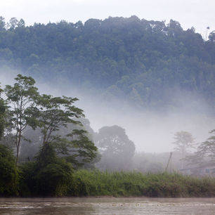 Sabah-SukauNP-misty-Kinabatanganriver