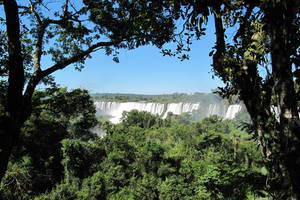 Foz-Iguazu-Argentijnse-kant-28