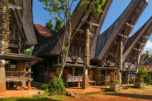 Typische zadeldakwoningen in Torajaland, Sulawesi