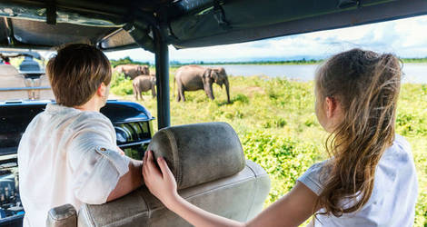 Sri-Lanka-Udawalawe-National-Park-olifanten-spotten-tiener