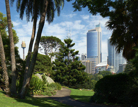 Australie-Sydney-botanische-tuinen