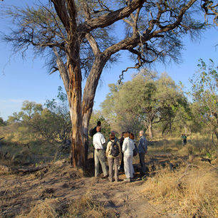 Botswana-Moremi-Wildlife-Reserve1