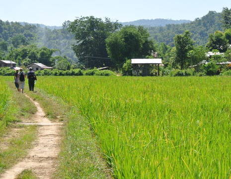 Myanmar-Hsipaw-trek(8)