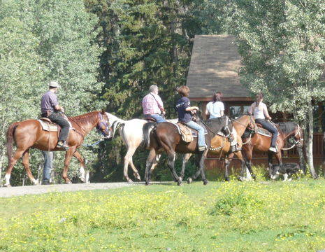 Canada-Lac-La-Hache-paardrijden