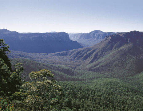 Australie-Blue-Mountains-uitzicht_1_559982