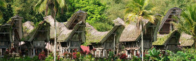 Traditionele huizen op Sulawesi