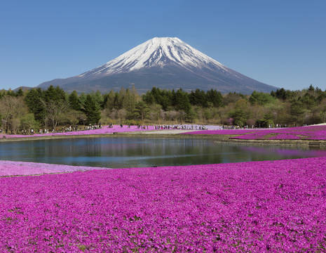 Mount_Fuji_en_omgeving_Honshu_Japan_281229