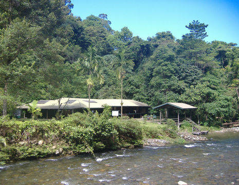 Sarawak-MuluNP-Camp 5_1