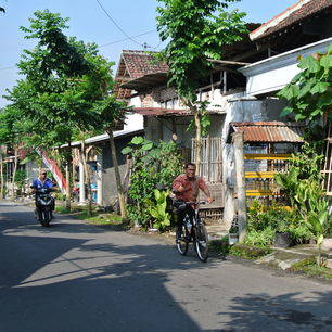 Java-Blitar-straatje met fietser