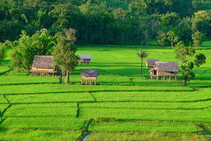 Noord-Laos
