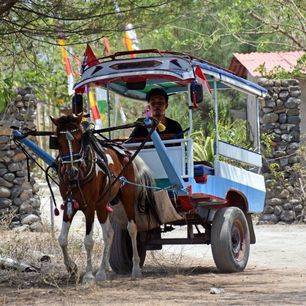Lombok-Gili-Air-Paard-Wagen_1_453648