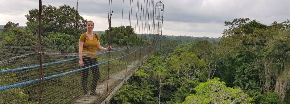 Ecuador-Coca-Amazonegebied-suspension-bridge
