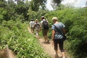 Ubud: Deep jungle trekking