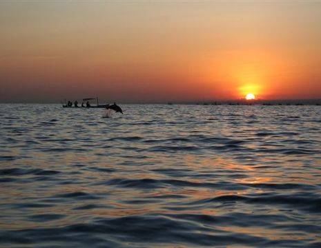Indonesie-Bali-Lovina-dolfijnbijzonsondergang