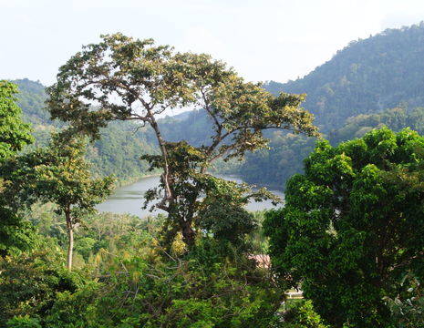 Sumatra-Pulau Weh-landschap_1