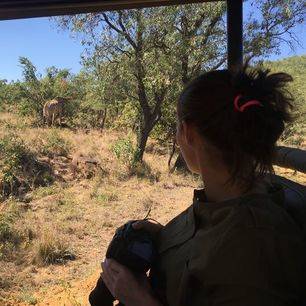 Krugerpark-Wildlife-Spotten_1_349003