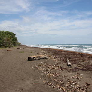 Costa-Rica-Tortuguero-Strand(10)