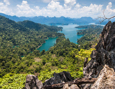 Thailand-Khao-Sok-jungle1