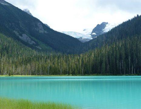 Canada-Whistler-gletsjer_1_544106