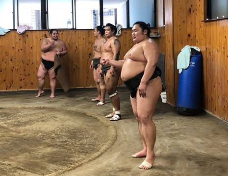 Sumo-Training-19