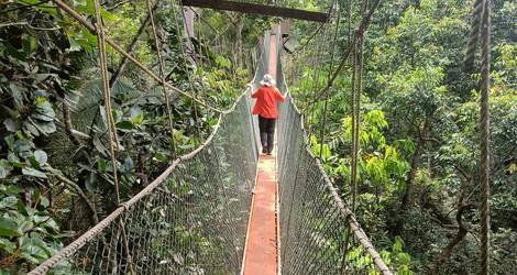 Maleisie-Taman-Negara-hangbrug-jungle_1_622411