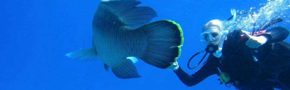 Bucketlist: duiken in het Great Barrier Reef