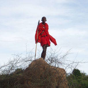 Kenia-Masai-krijger_1_373831