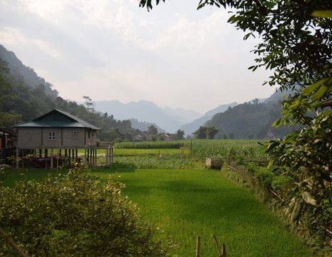 Een huis op palen tussen de rijstvelden van Tam Duong