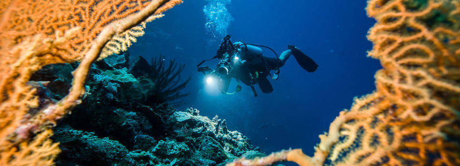 Indonesie-duiker-oostelijk-indonesie(13)