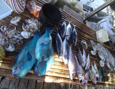 De vismarkt van Wakatobi, Sulawesi
