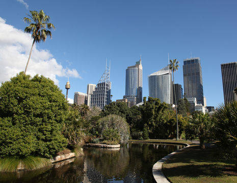 Australie-Sydney-botanische-tuin-2_1_573062