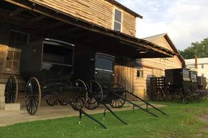 Amerika-Lancaster-Amish-Paard-Wagen