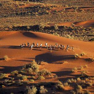 Namibie-Kalahari-woestijn_4_306952
