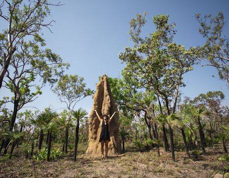 Australie-Litchfield-National-Park-termietenheuvel