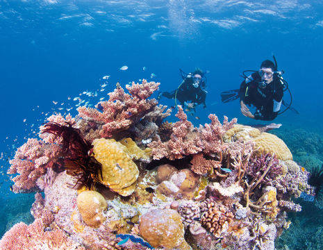 Duikers bij het Great Barrier Reef