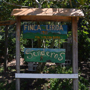 Panama-Boquete-trail-Finca-Lerida-6_1_360566