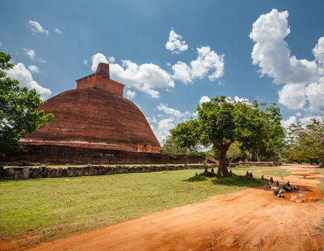 Sri-Lanka-Anuradhapura10_1